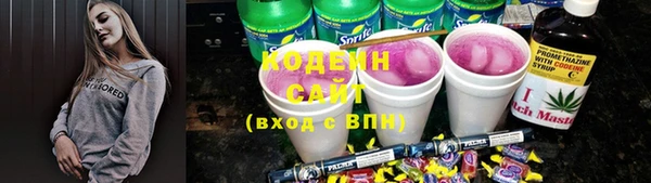 гашик Белокуриха