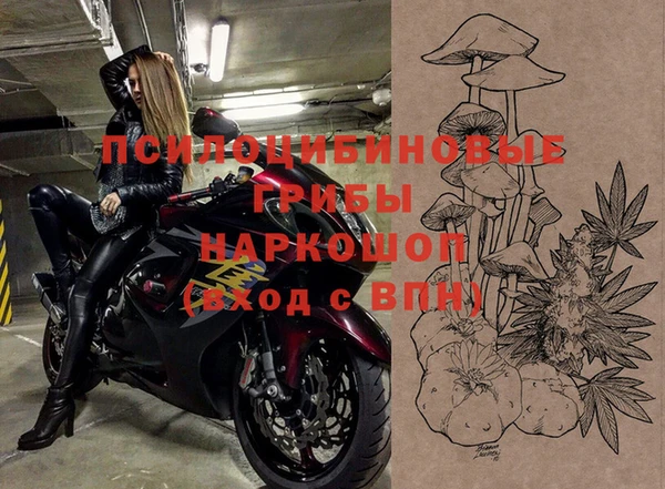 гашик Белокуриха