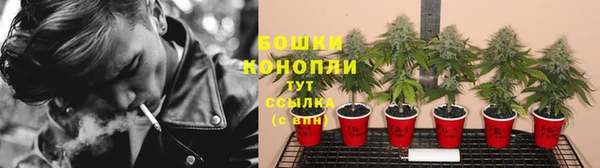 эйфоретик Беломорск