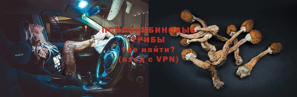 гашик Белокуриха