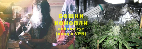 гашик Белокуриха