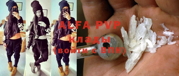 гашик Белокуриха