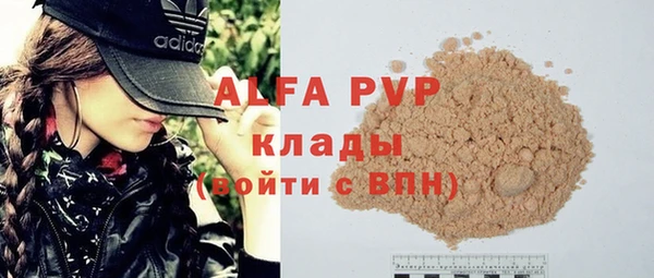 гашик Белокуриха