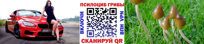 дарк нет какой сайт  Озёрск  Псилоцибиновые грибы Magic Shrooms 